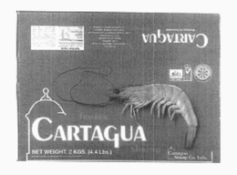CARTAGUA trademark