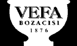 VEFA BOZACISI 1876 trademark
