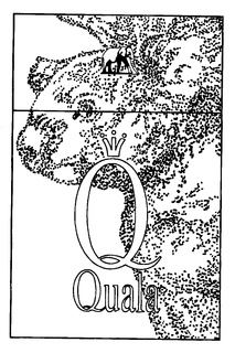 Q QUALA trademark