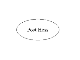POST HOSS trademark