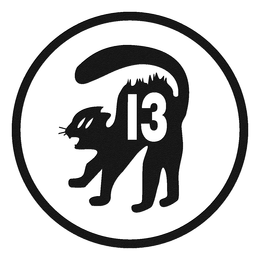 13 trademark