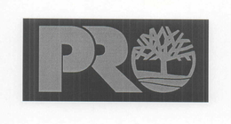 PRO trademark