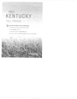 SEEDGUYS trademark