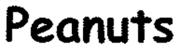 PEANUTS trademark
