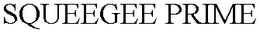 SQUEEGEE PRIME trademark