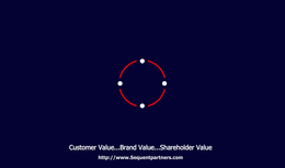 CUSTOMER VALUE...BRAND VALUE...SHAREHOLDER VALUE trademark