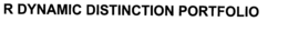 R DYNAMIC DISTINCTION PORTFOLIO trademark
