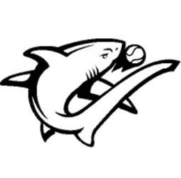 C trademark