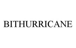 BITHURRICANE trademark