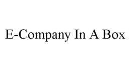 E-COMPANY IN A BOX trademark