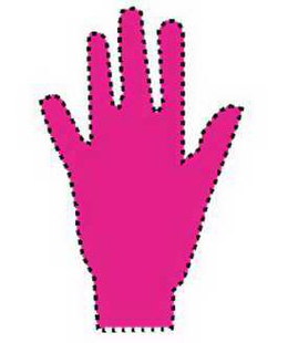RASPBERRY trademark