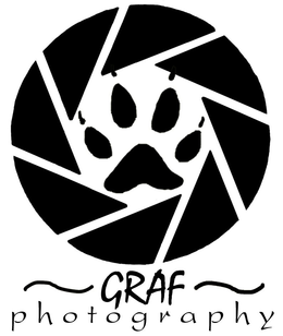 GRAF PHOTOGRAPHY trademark