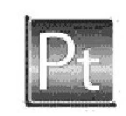 PT trademark