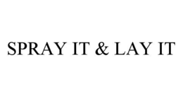 SPRAY IT & LAY IT trademark