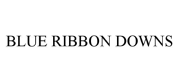 BLUE RIBBON DOWNS trademark