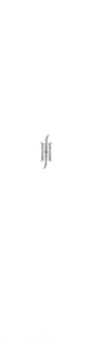 FH trademark