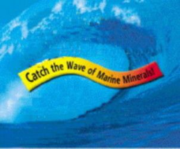 CATCH THE WAVE OF MARINE MINERALS! trademark