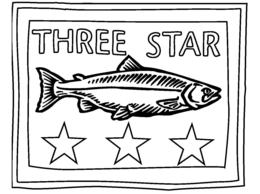THREE STAR trademark