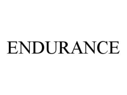 ENDURANCE trademark