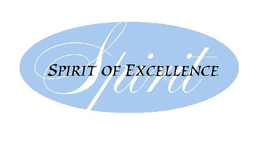 SPIRIT OF EXCELLENCE trademark