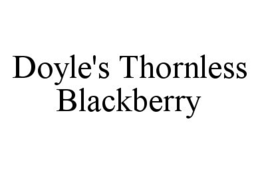 DOYLE'S THORNLESS BLACKBERRY trademark