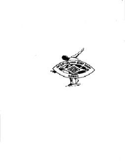 CUSTOM INTER-ISLAND SURF SHOP HAWAII trademark