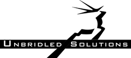 UNBRIDLED SOLUTIONS trademark