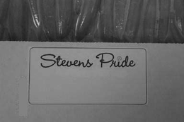 STEVENS PRIDE trademark