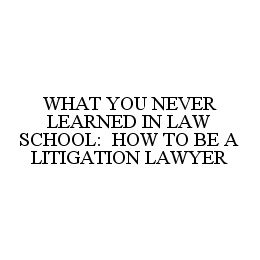 WHAT YOU NEVER LEARNED IN LAW SCHOOL: HOW TO BE A LITIGATION LAWYER trademark