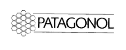 PATAGONOL trademark