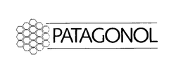 PATAGONOL trademark