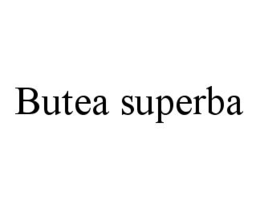 BUTEA SUPERBA trademark