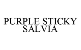PURPLE STICKY SALVIA trademark