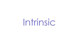 INTRINSIC trademark