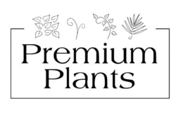 PREMIUM PLANTS trademark