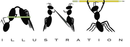 ILLUSTRATION trademark