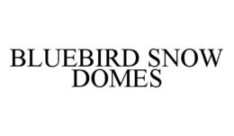 BLUEBIRD SNOW DOMES trademark