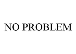 NO PROBLEM trademark