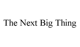 THE NEXT BIG THING trademark