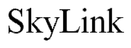 SKYLINK trademark