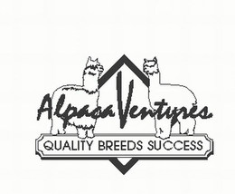 ALPACA VENTURES AND QUALITY BREEDS SUCCESS trademark