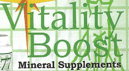 VITALITY BOOST trademark
