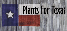 PLANTS FOR TEXAS trademark
