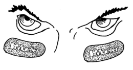 MUELLER MUELLER trademark