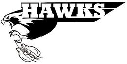 HAWKS trademark
