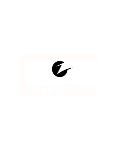 Z trademark