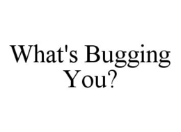 WHAT'S BUGGING YOU? trademark