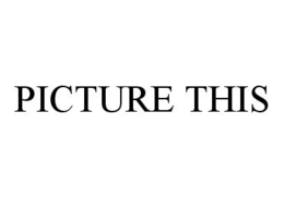 PICTURE THIS trademark