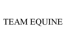 TEAM EQUINE trademark