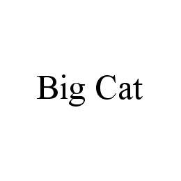 BIG CAT trademark